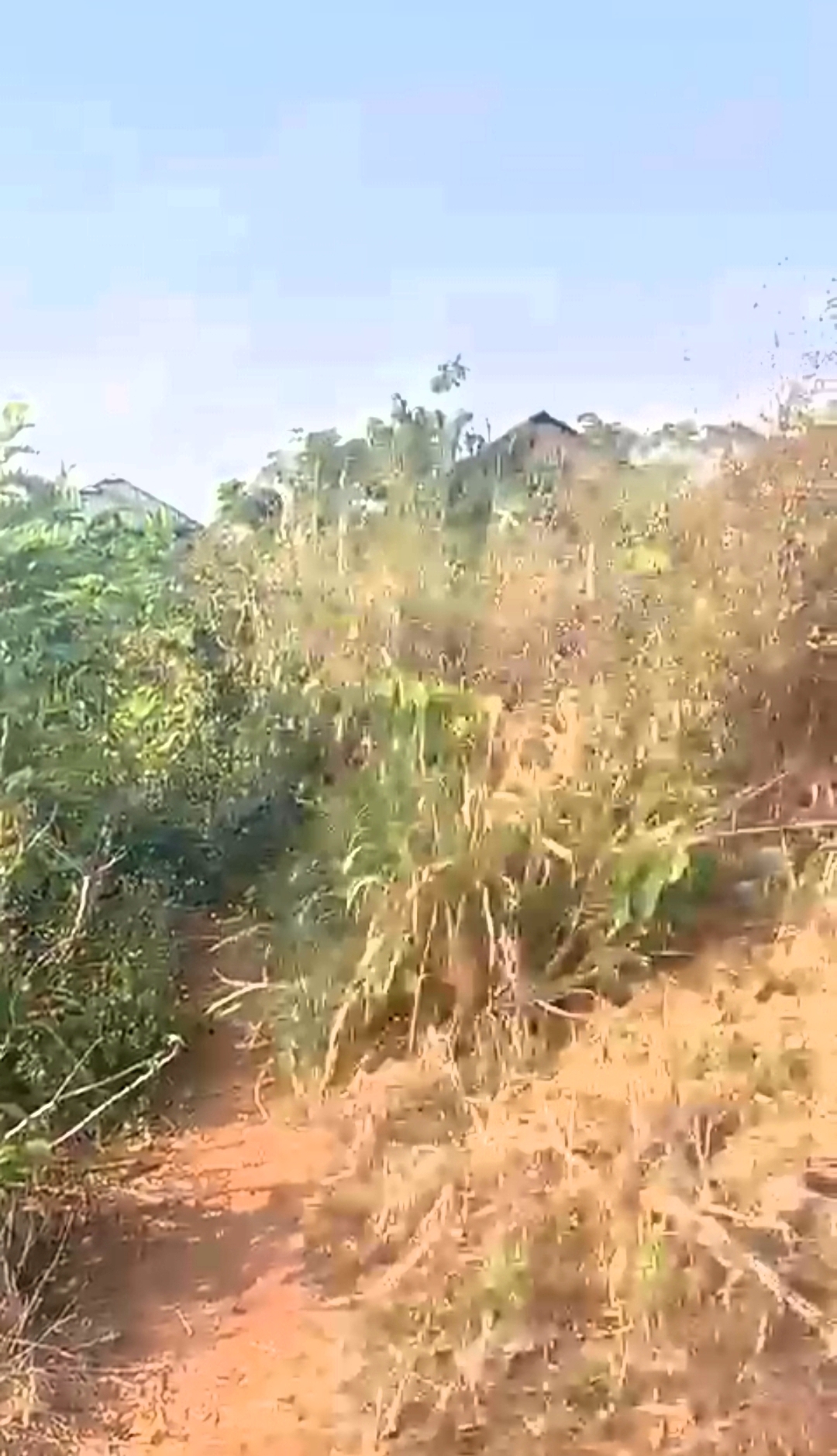 Screenshot_20260408-232641_1