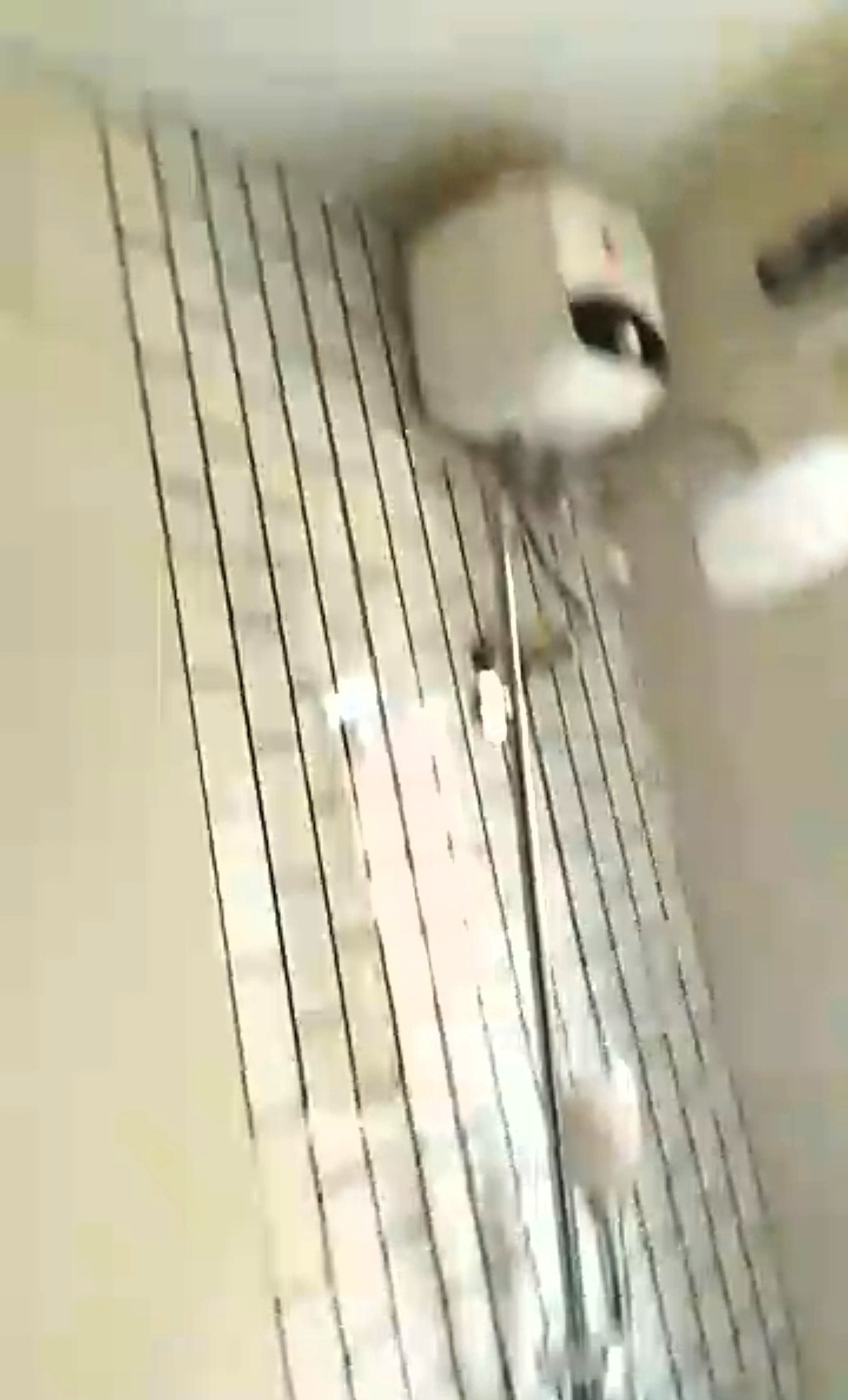 Screenshot_20260409-140630_2