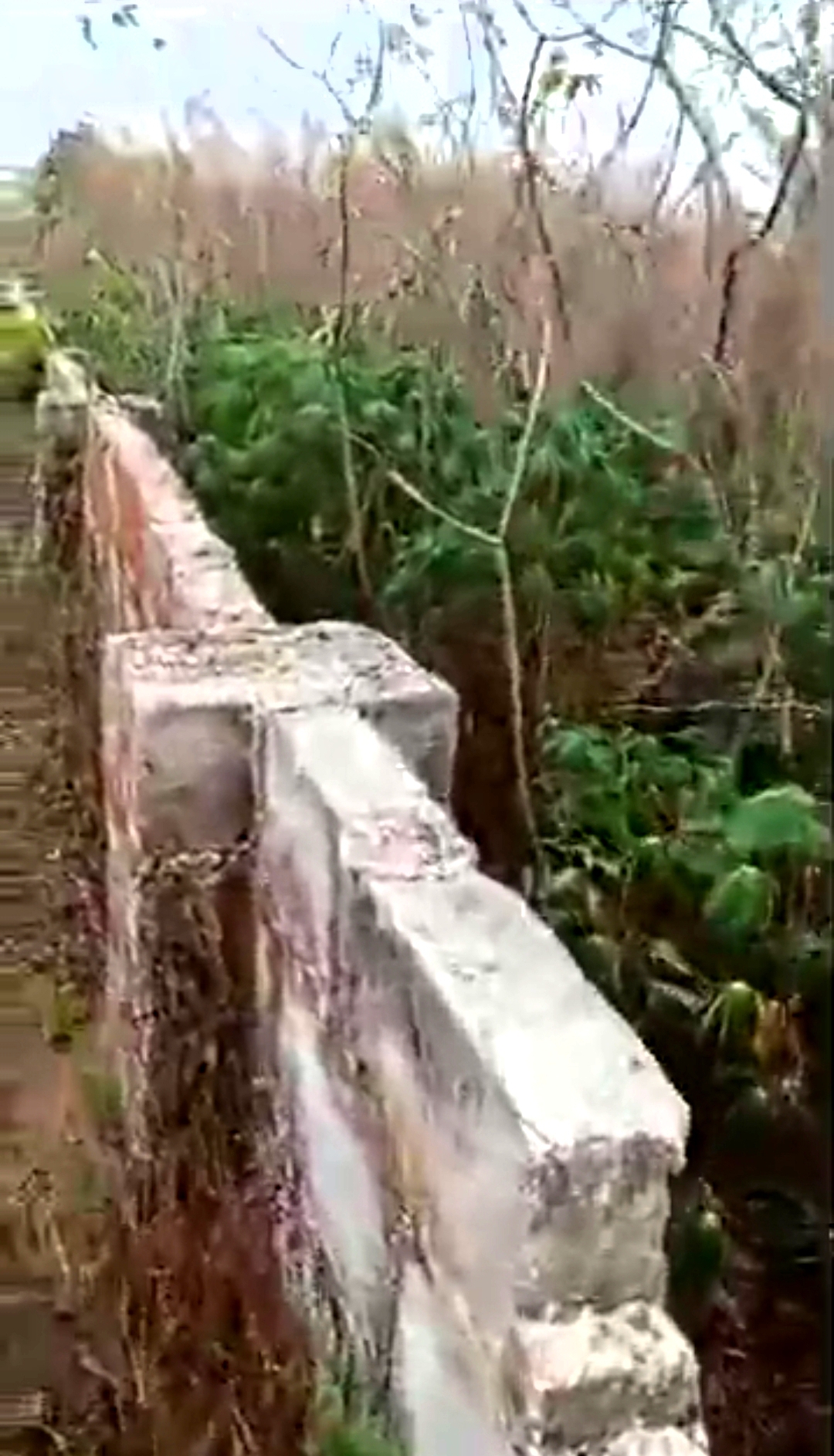 Screenshot_20260409-163022_1