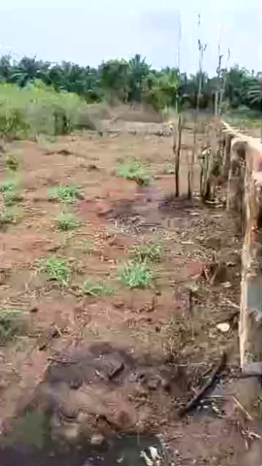 Screenshot_20260409-163043_1