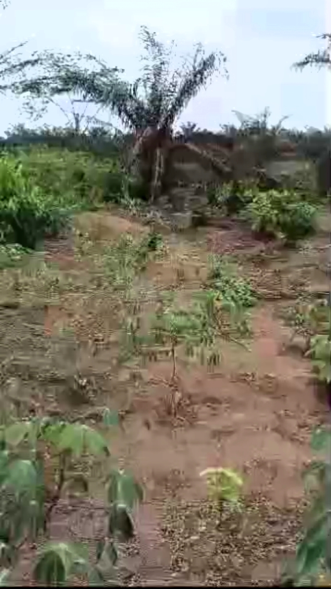 Screenshot_20260409-163056_1