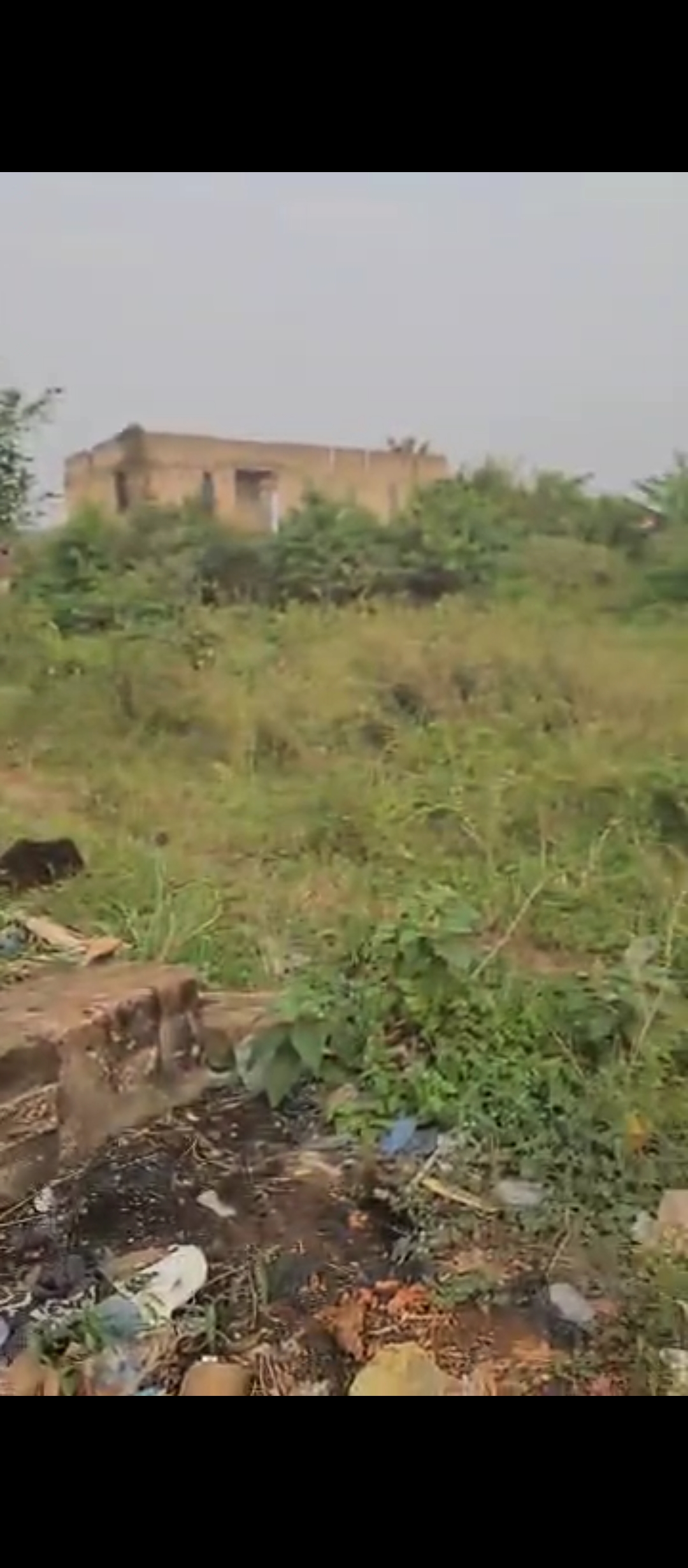 Screenshot_20260410-042522