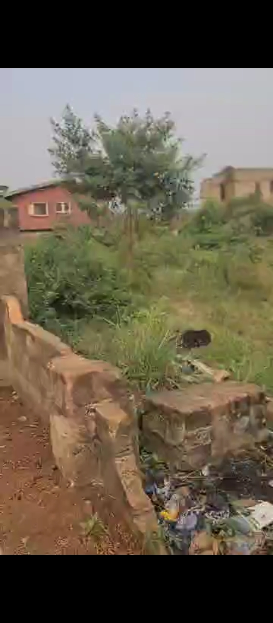 Screenshot_20260410-042531